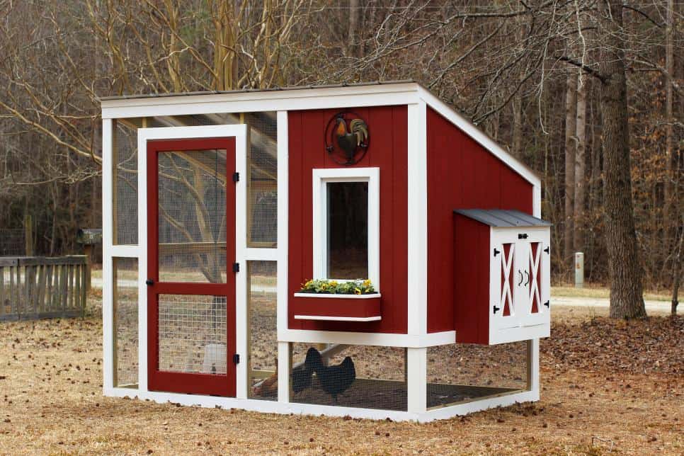 These free backyard chicken coop plans from HGTV are great!