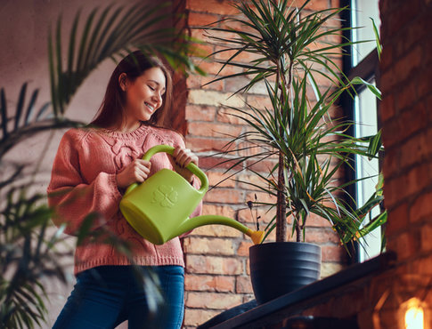 Young woman in watering apartment plants