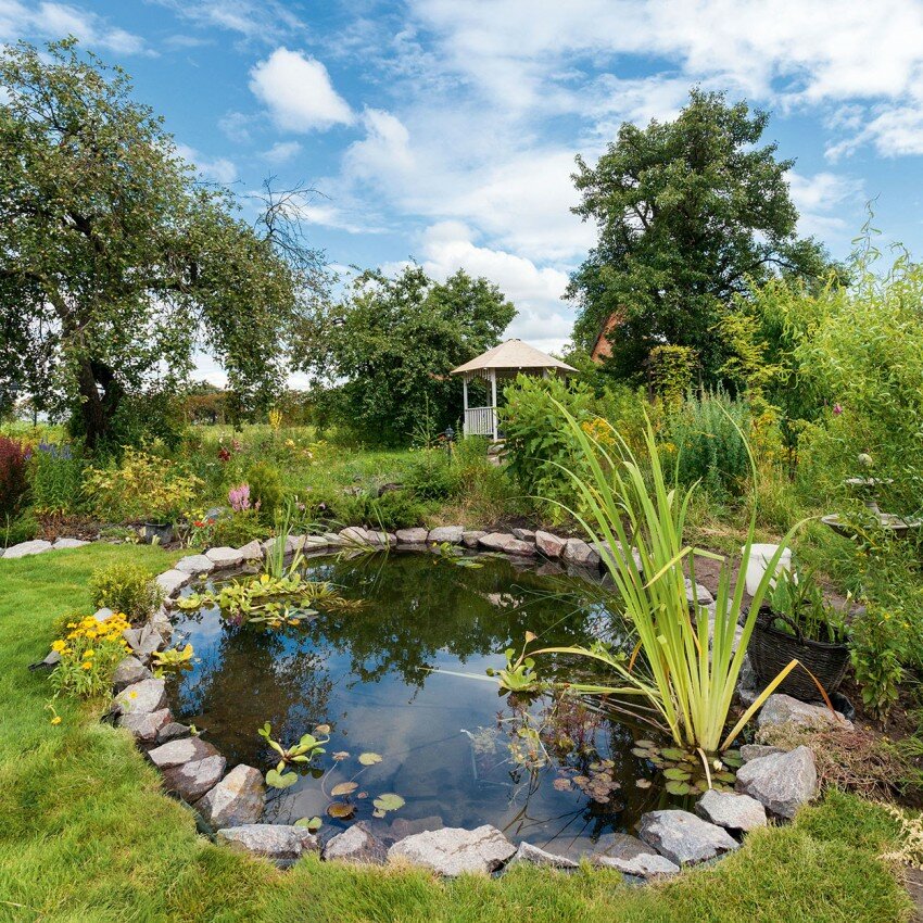Садовый пруд с округлыми формами