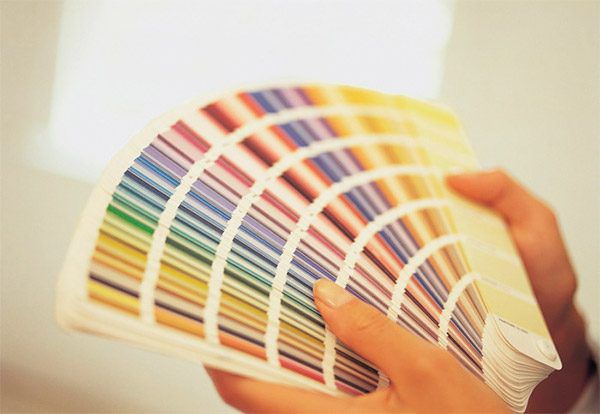 Цветовая палитра латексной краски