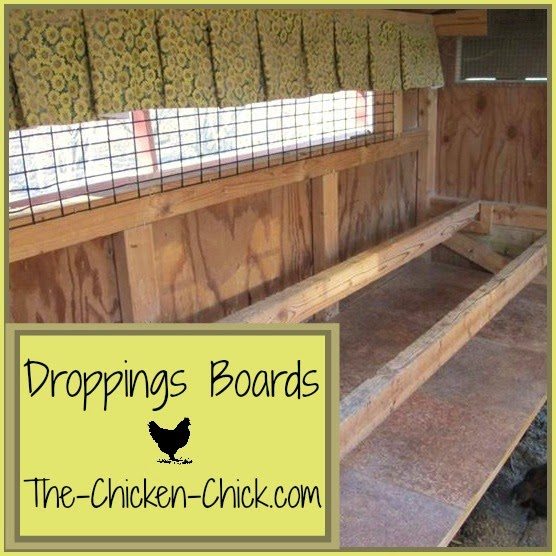 Add droppings boards underneath roosts to collect chicken poop generaated overnight, which removes the primary source of ammonia and moisture from the coop. Scrape boards down each morning and add them to a compost pile. 