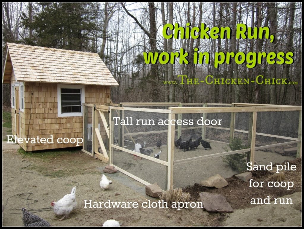 Go Big on the chicken run. Plan a bare minimum space allocation of ten square feet per bird in the chicken run for confined flocks. Free-range flocks will do well with less than 10 sq ft per bird, but plan for inclement weather and build it as large as possible anyway. A spacious run gives chickens the personal space and exercise opportunities that do not exist inside the average coop. Chickens must be provided with elbow room to fend off boredom, obesity and avoid behavioral problems such as feather picking and egg-eating. 