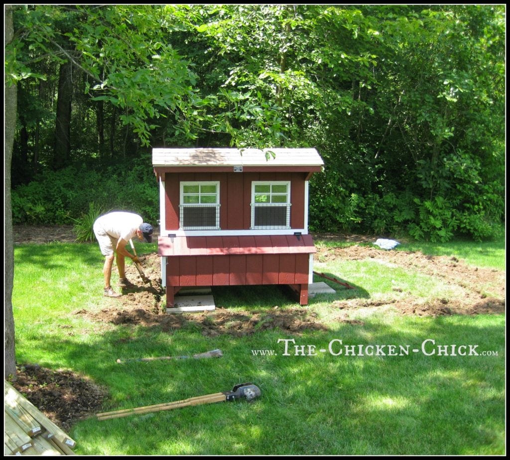 Deter digging predators by creating a 12" trench around the coop perimeter and burying the hardware cloth. Alternatively, extend a hardware cloth apron 12” out from the perimeter of the run. An apron isn