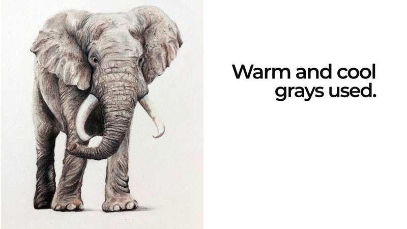 Colored pencil drawing with cool and warm grays