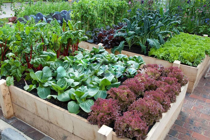 All About Raised Beds: Ultimate guide on how to build the most productive raised bed gardens! Lots of tips and resources! - A Piece Of Rainbow