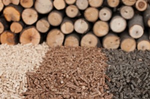 Biomass pellet